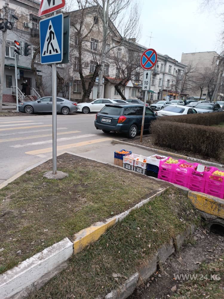 читателя 24.kg