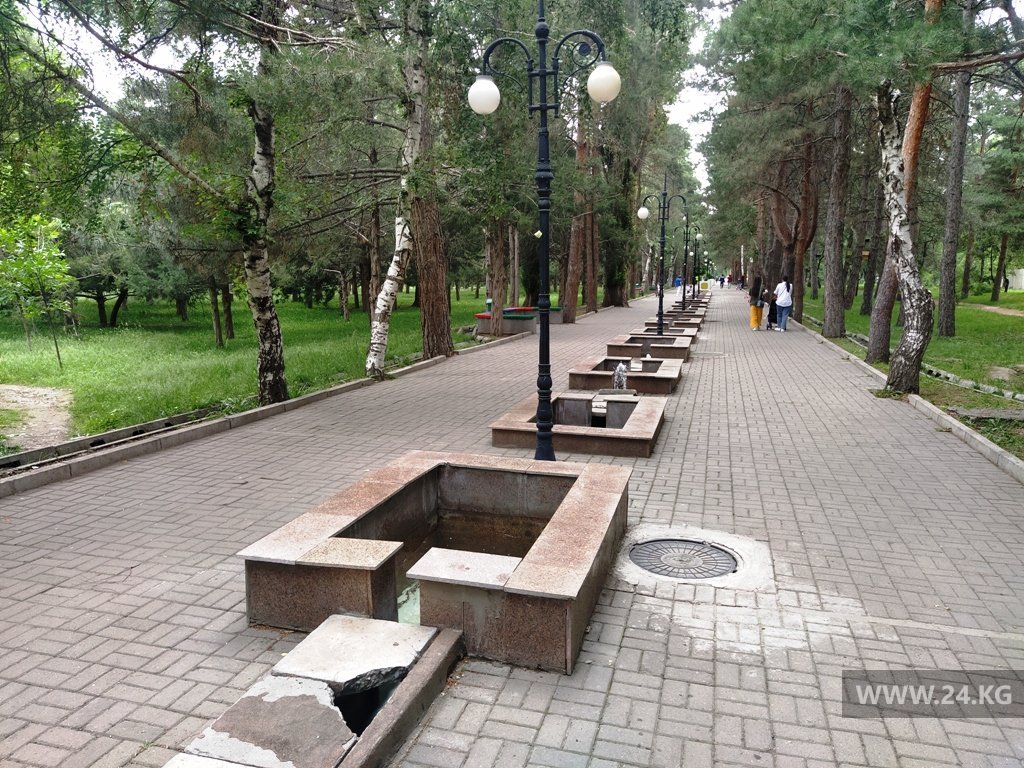 из интернета