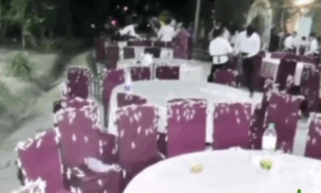 2025_06_18_locust_wedding В Туркменистане саранча испортила свадьбу