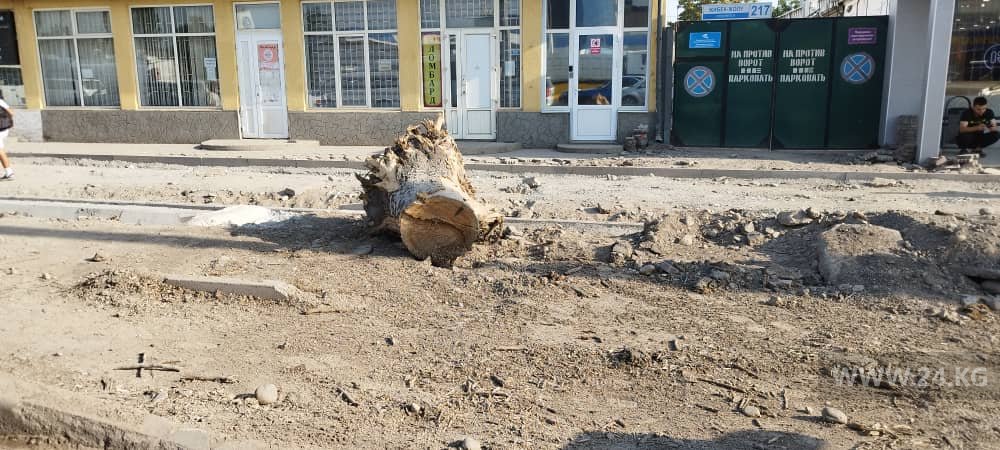 Фото 24.kg. Ремонт тротуара на участке проспекта Жибек Жолу