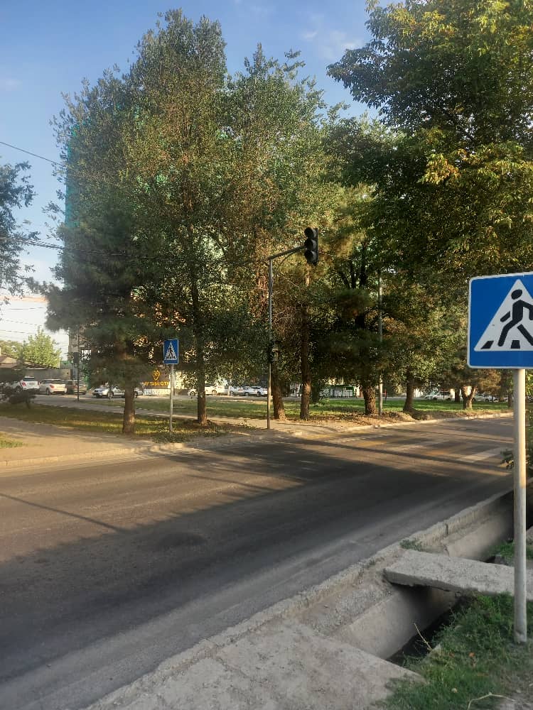 читателя 24.kg