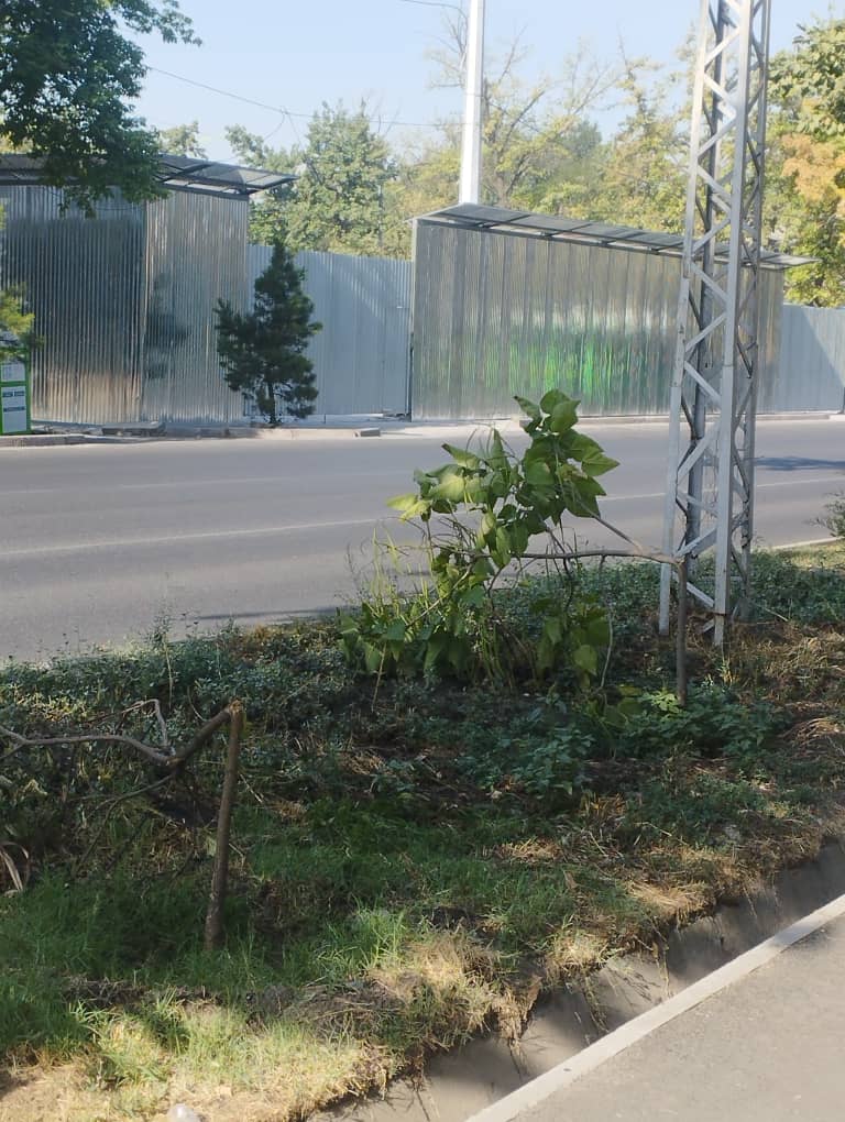 читателя 24.kg