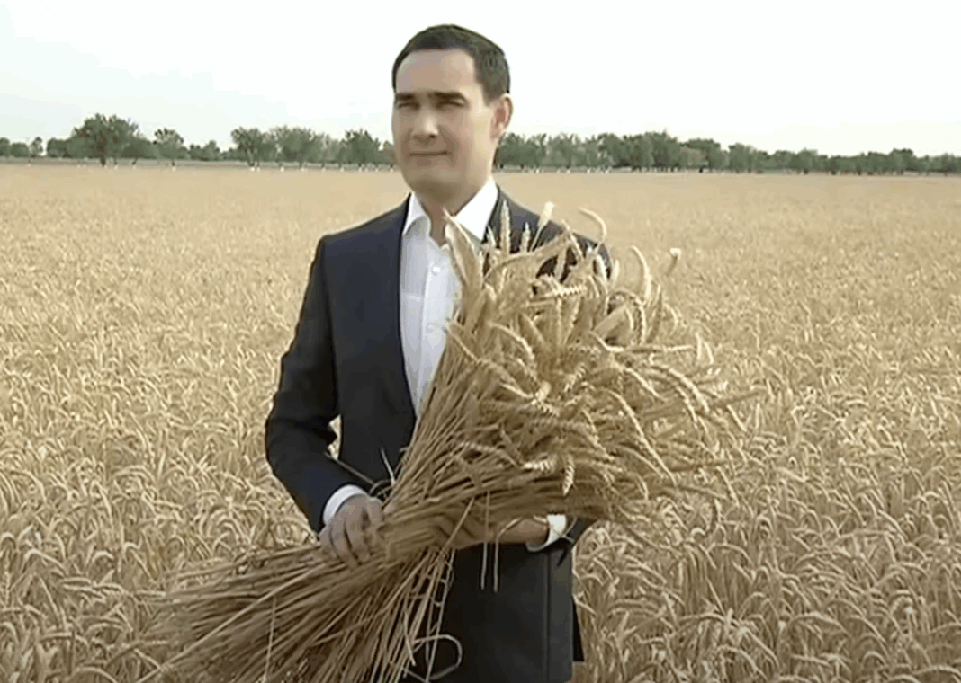 2025_06_11_serdar_wheat Президенту доложили, что Ахалский велаят выполнил план по сбору пшеницы
