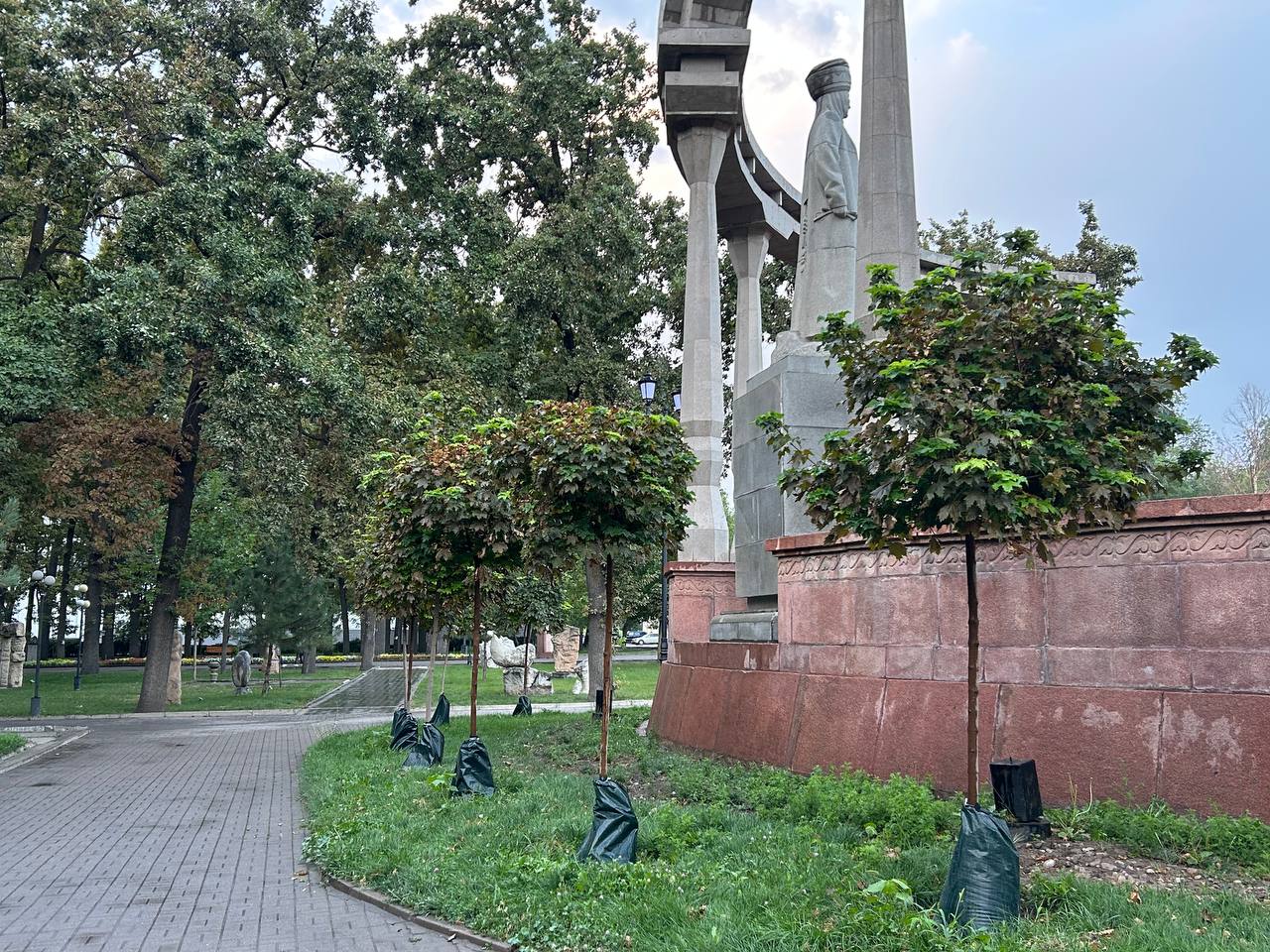 После эксперимента «Зеленстроя» в центре Бишкека гибнут клены