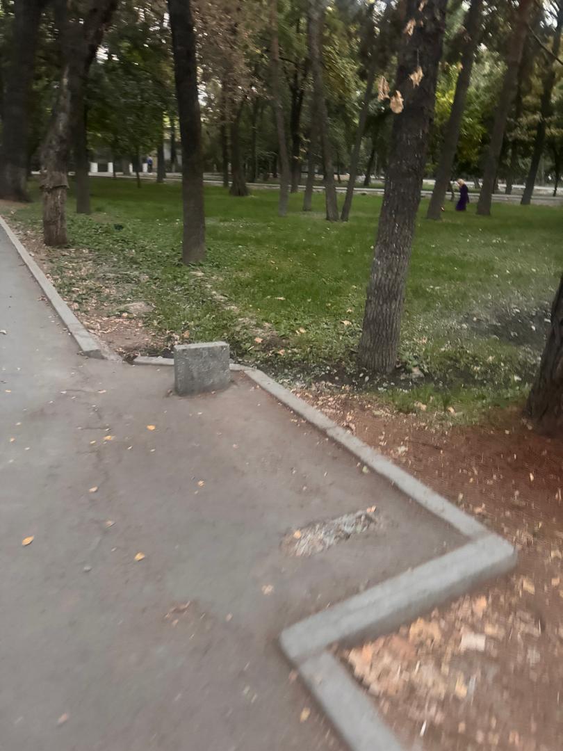 Фото читателя 24.kg