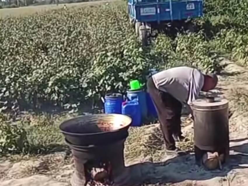 В селах Байрамалийского этрапа задерживают оплату поварам, которые кормят сборщиков хлопка