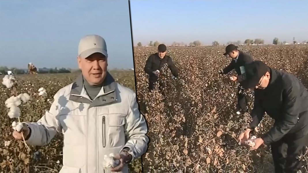 Г.Бердымухамедов рассказал главе Daewoo о получении «зеленого» метанола из стеблей хлопчатника