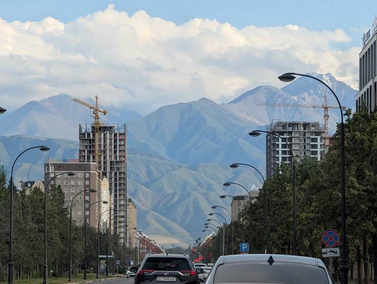 Дарина Шипулина