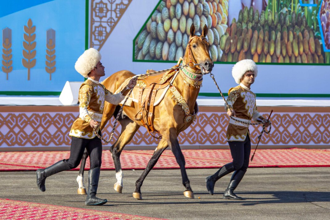 На Праздник урожая президенту подарили коня