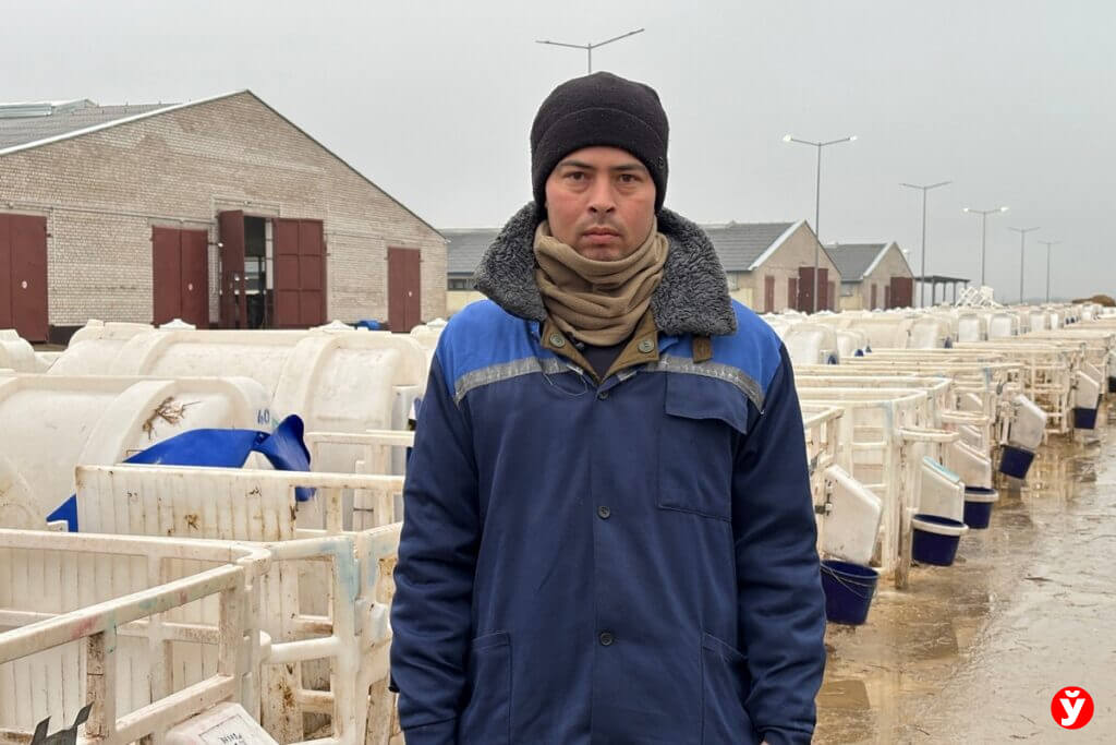 2025_12__11_belarus_migrant Туркменские мигранты работают в Беларуси на фермах
