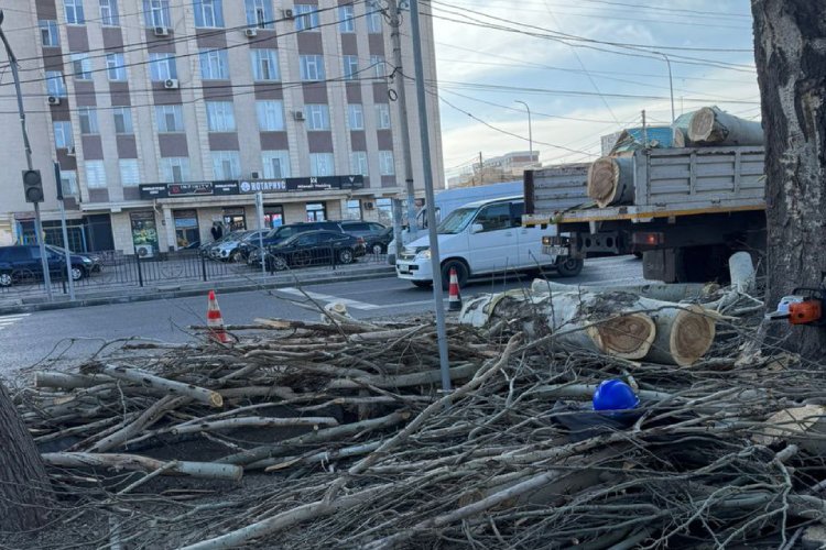 Фото читателей