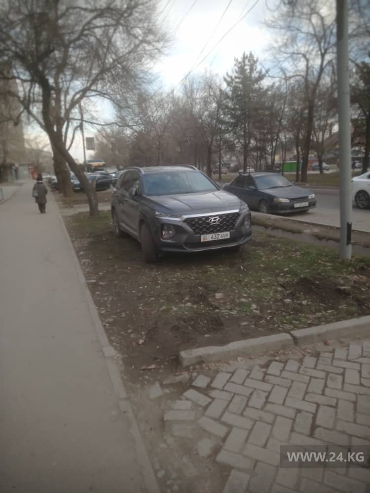 Фото читателя 24.kg