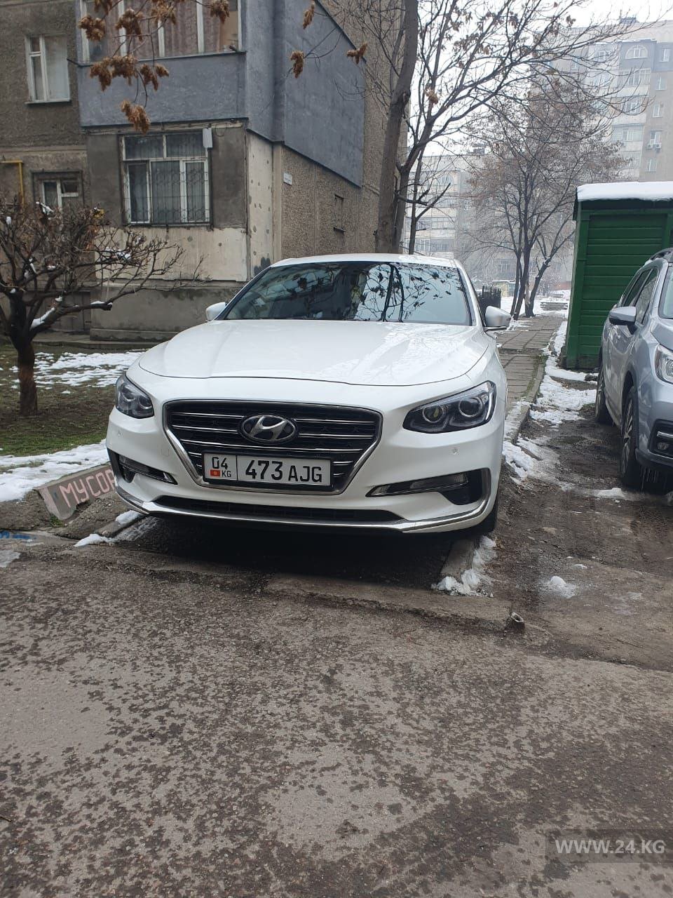 Фото читателя 24.kg
