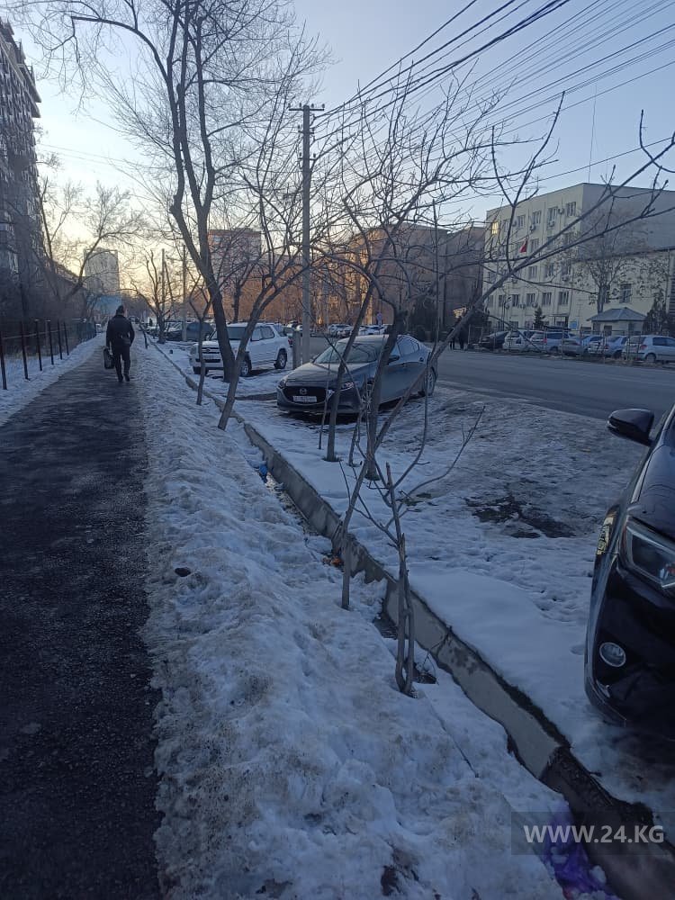 Фото читателей 24.kg