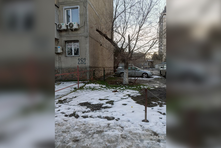 Фото читателя 24.kg