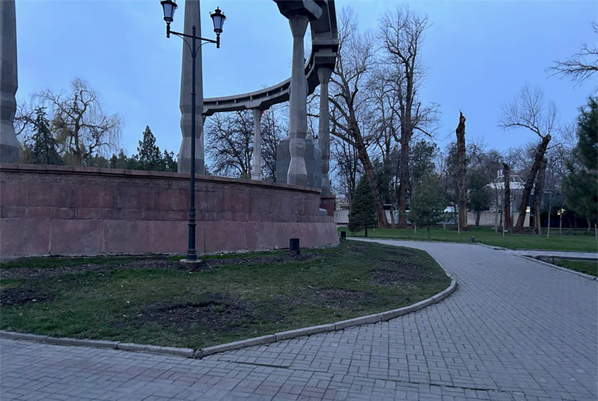 Фото читателя 24.kg. ...нет кленов