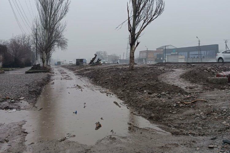 Жители Лебединовки жалуются на разбитый тротуар и отсутствие освещения