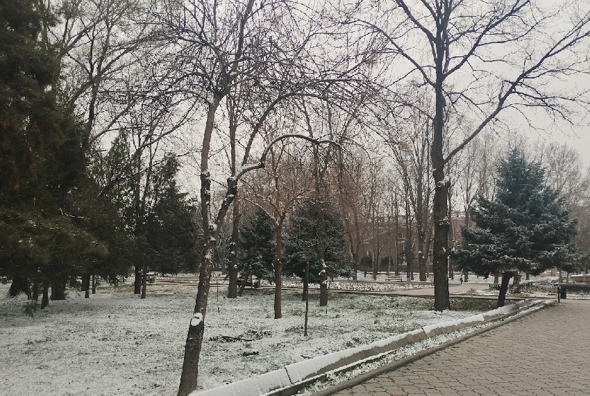 Фото Мээрим Акназаровой. Бишкек, сквер у «Белого дома», 1 марта 2026 года