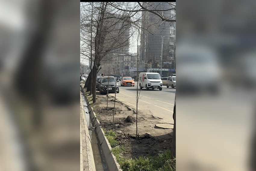 Фото пресс-службы мэрии Бишкека
