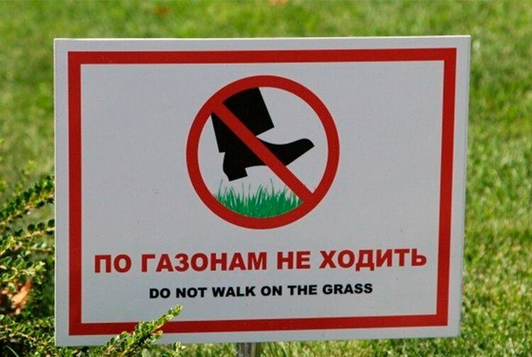Мэрия Бишкека отреагировала на жалобы о вытоптанном газоне в микрорайоне «Улан»