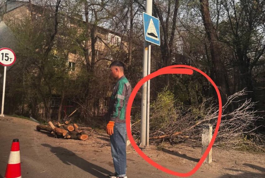 читателей