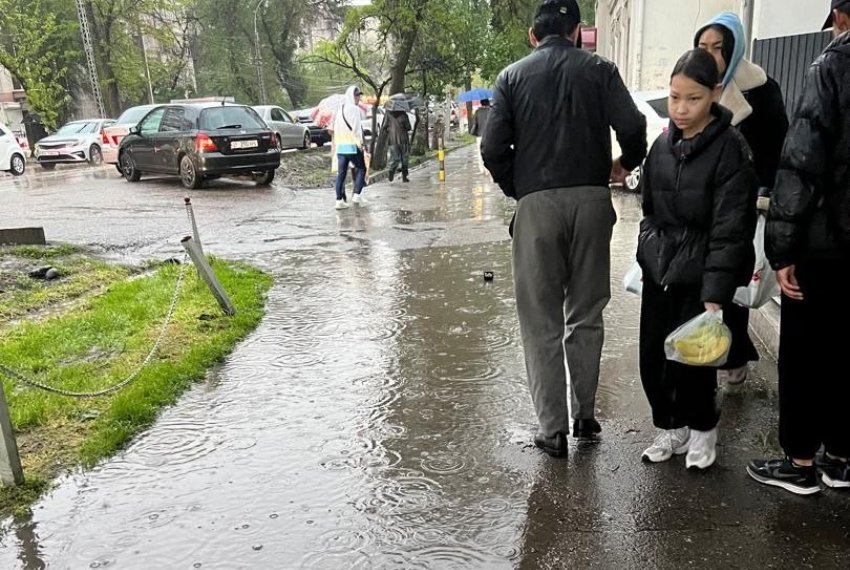 Фото читателей
