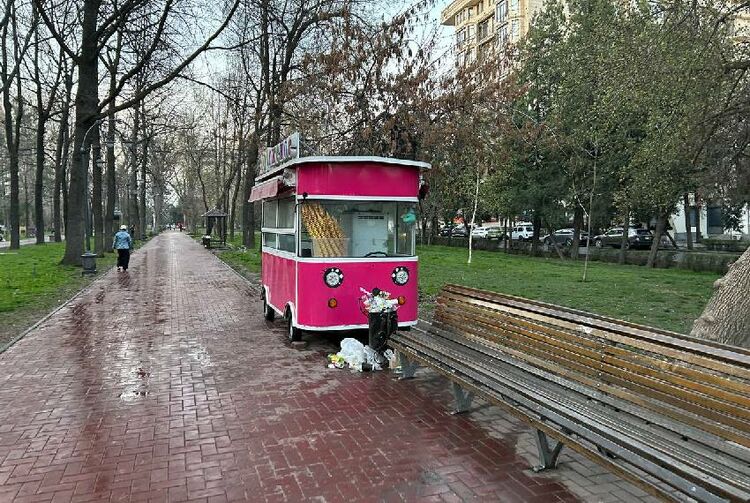 Порядок наведут, но не сразу: мэрия задумалась о расторжении аренды на Эркиндике