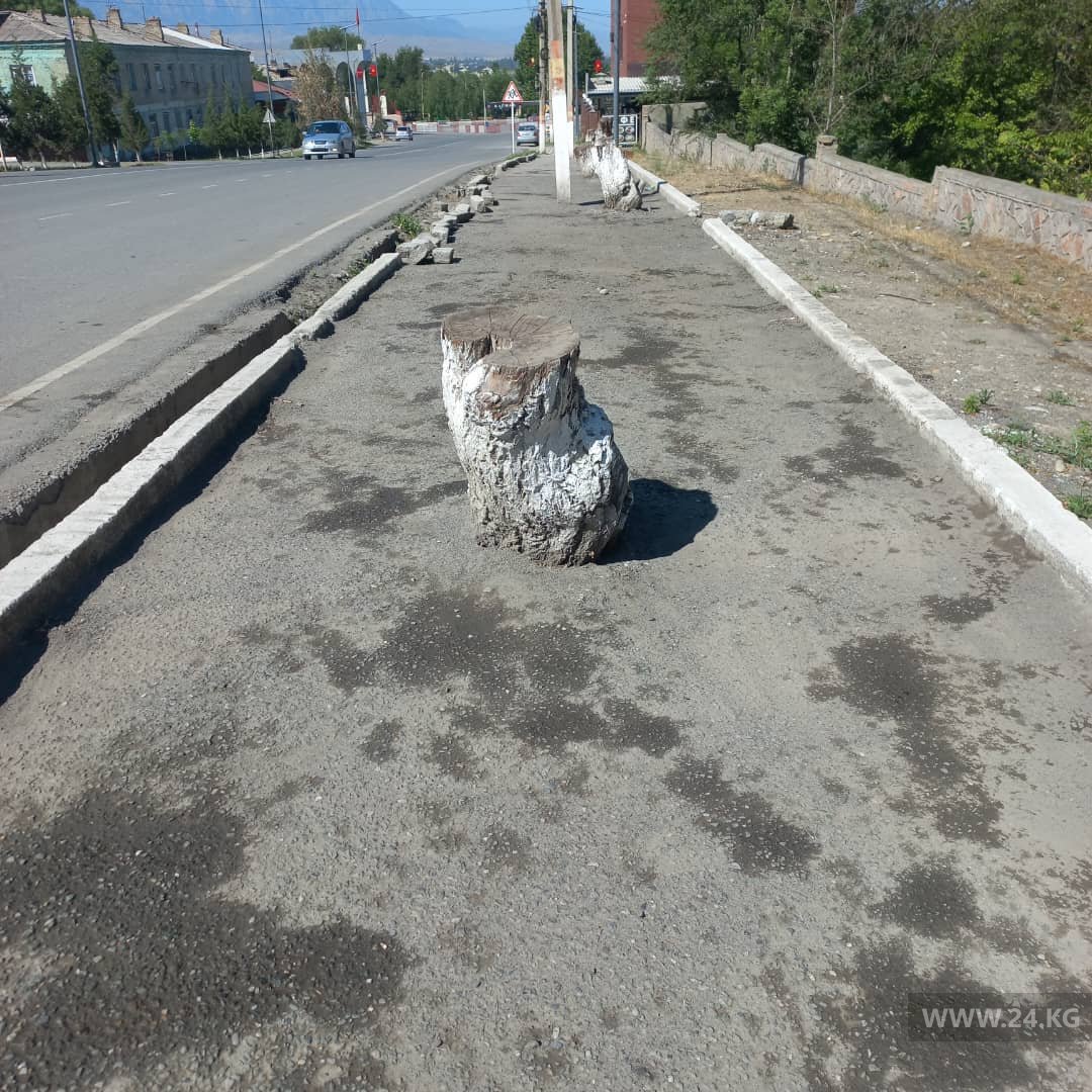 Фото читателя