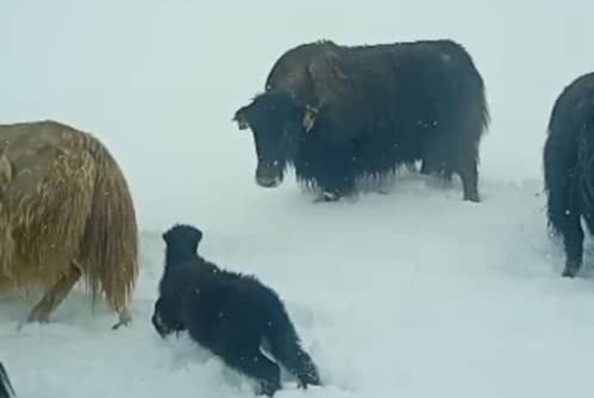 Главная