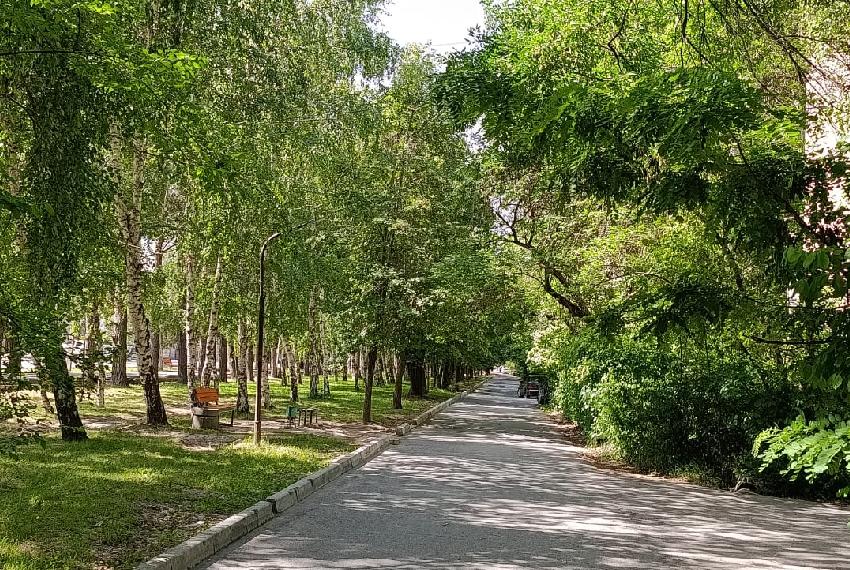 Фото Николая Манаковского. Бишкек, район городка Совмина