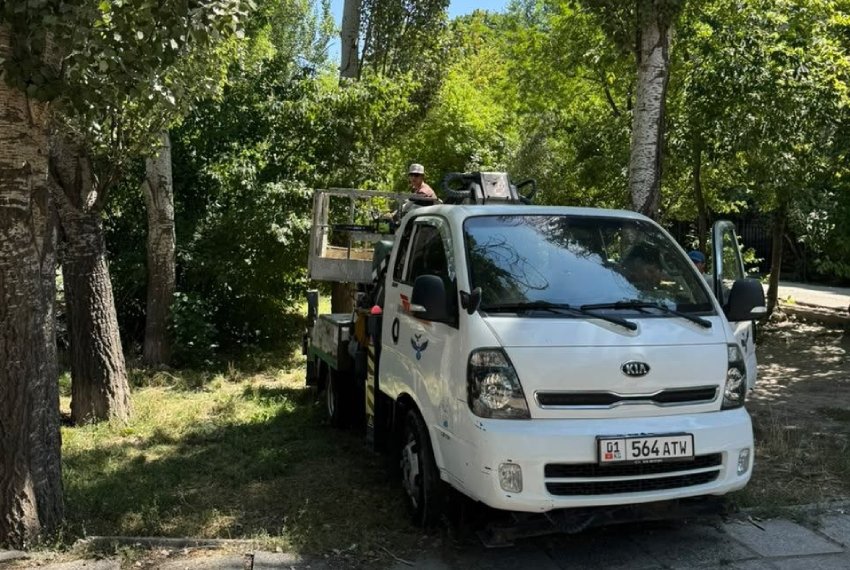 Фото читателей. По словам очевидцев, одно из деревьев не успели полностью спилить. На месте остался поврежденный ствол