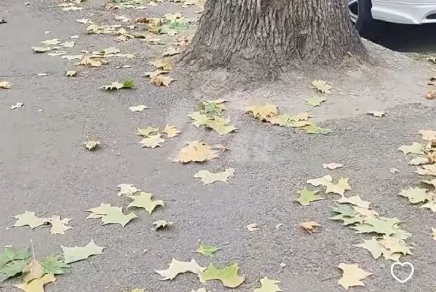 Фото читателей