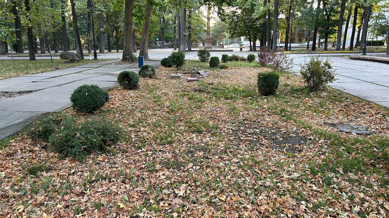 Фото читателя 24.kg. В Бишкеке погибает Дубовый парк 