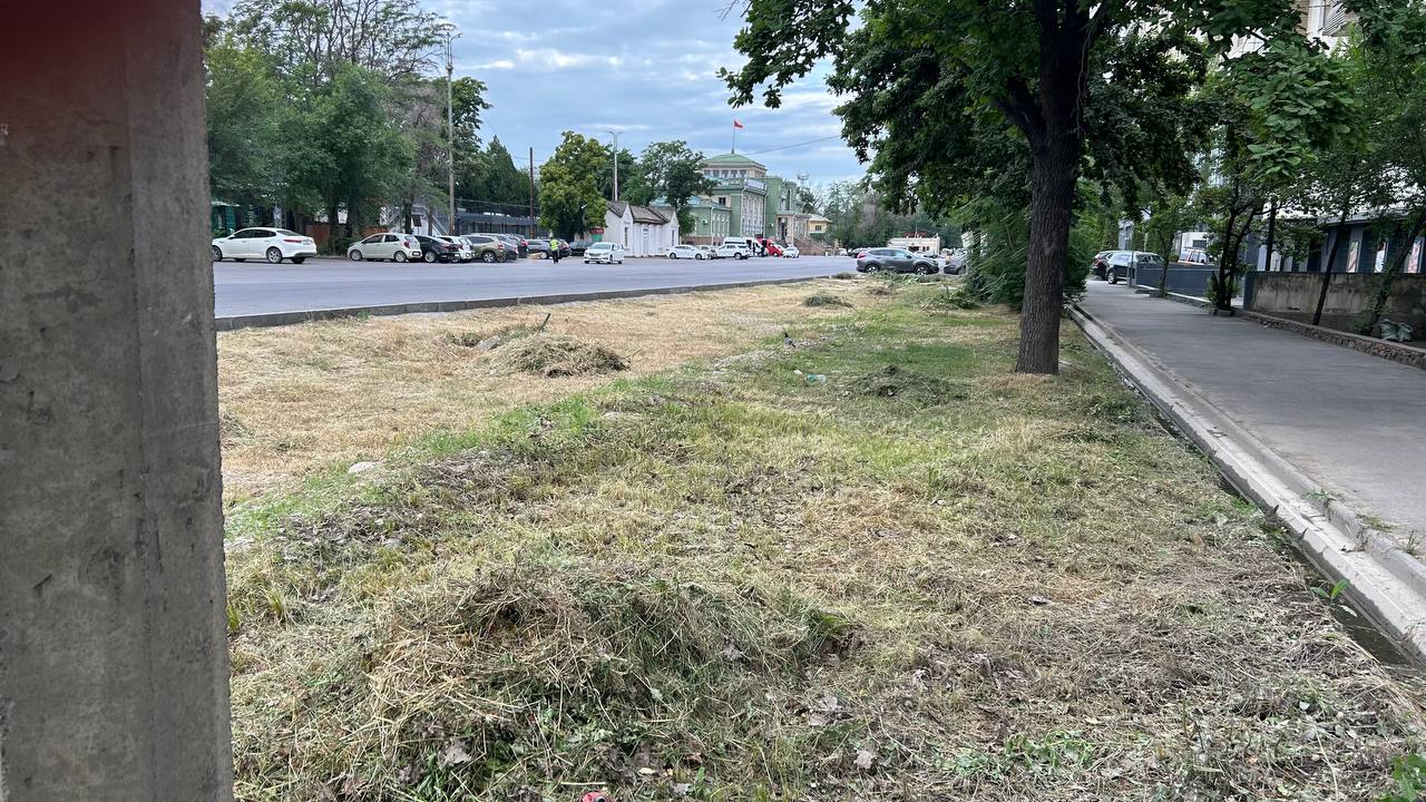 читателя 24.kg