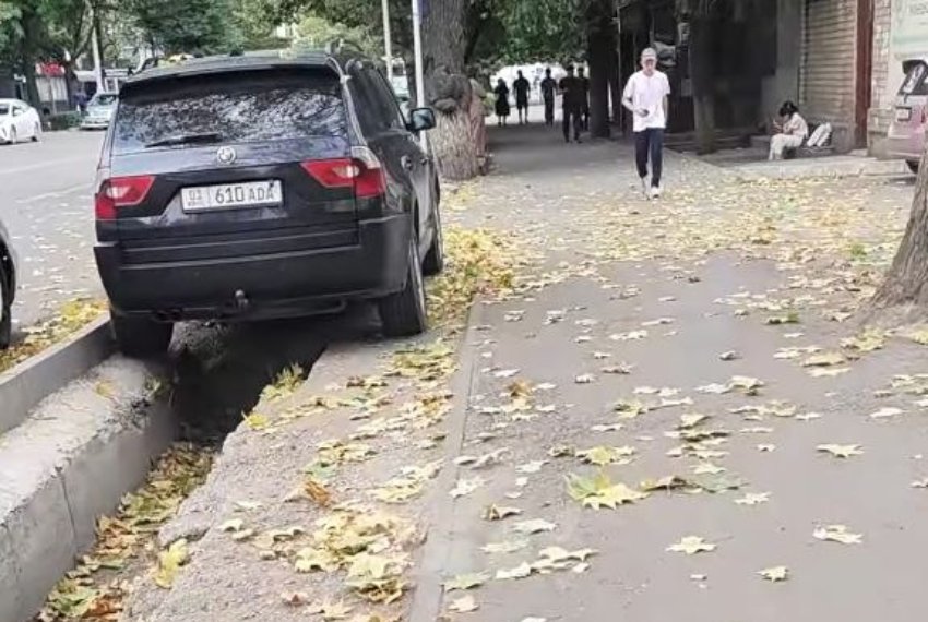 Фото читателей