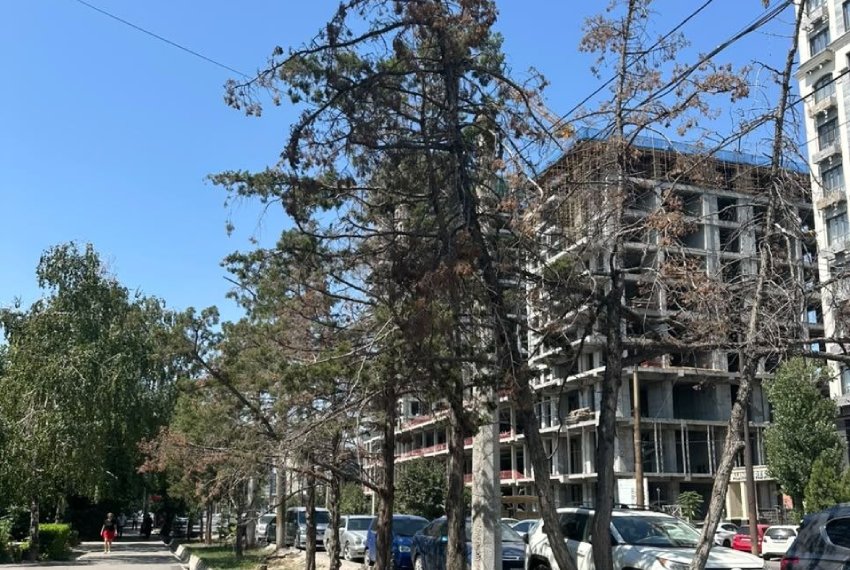 Главная