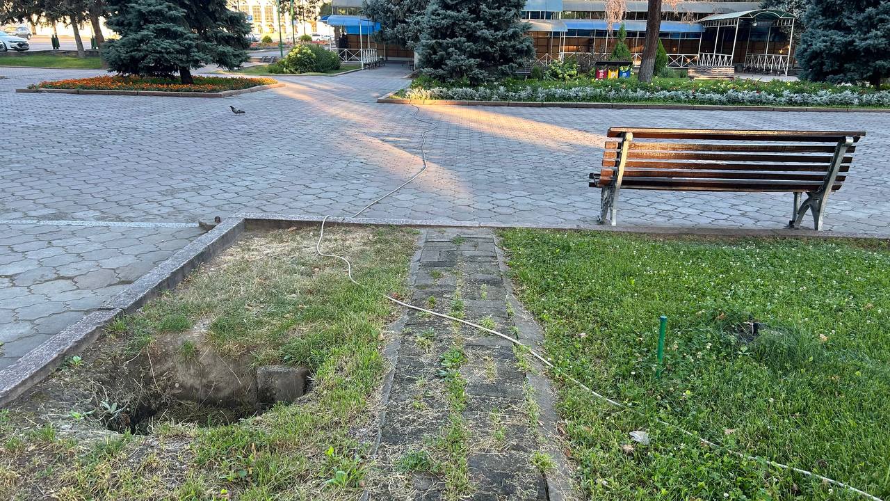 Фото читателя 24.kg . Провода в Дубовом парке и на бульваре Эркиндик 