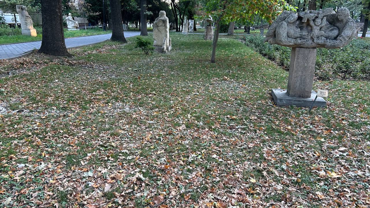 Октябрь в июле. В Бишкеке погибает Дубовый парк