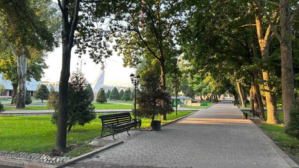 Главная