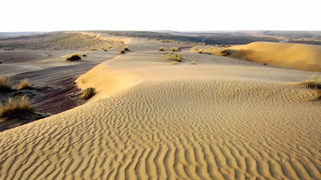 karakum_desert_89651 В Туркменистане туристические услуги оказывают 70 компаний. Развивается пустынный туризм - Хроника Туркменистана