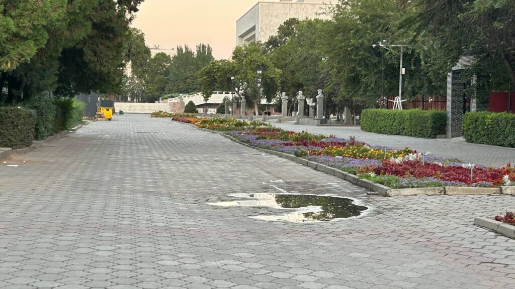 Главная