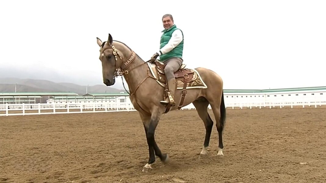2024_01_20_horse_alabay_05 Г.Бердымухамедов посетил Ахалтекинский комплекс и приказал расширить площади под кормовые культуры - Хроника Туркменистана
