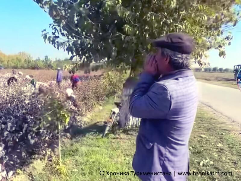 Учителей отправляют на сбор хлопка, несмотря на оплату наемных рабочих - Хроника Туркменистана
